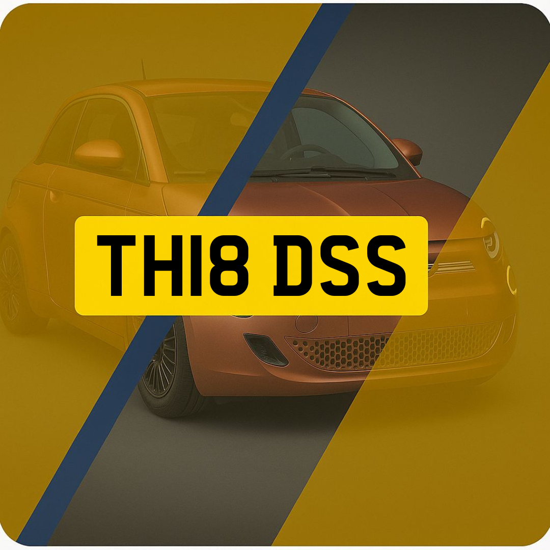 TH18 DSS