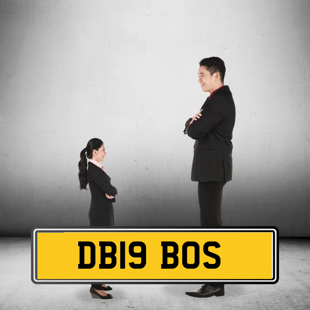 DB19 BOS