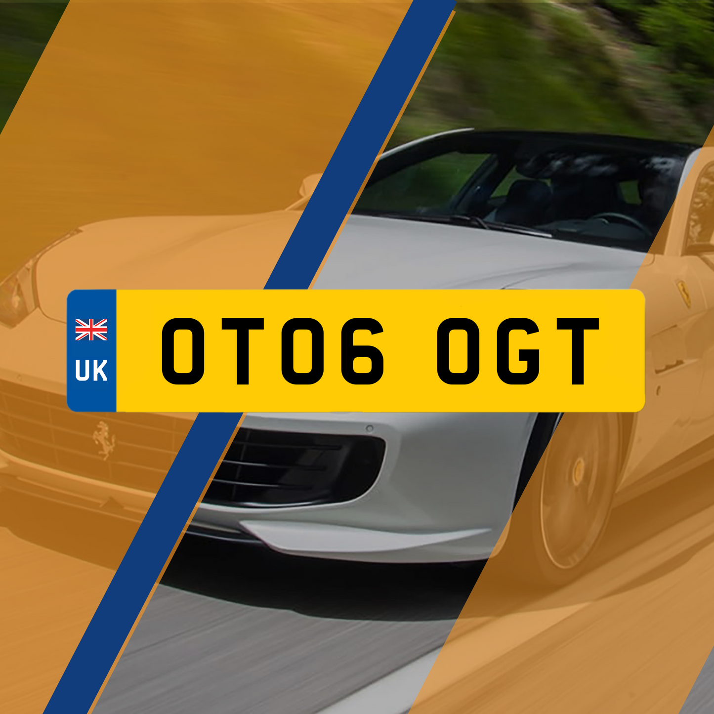 OT06 OGT