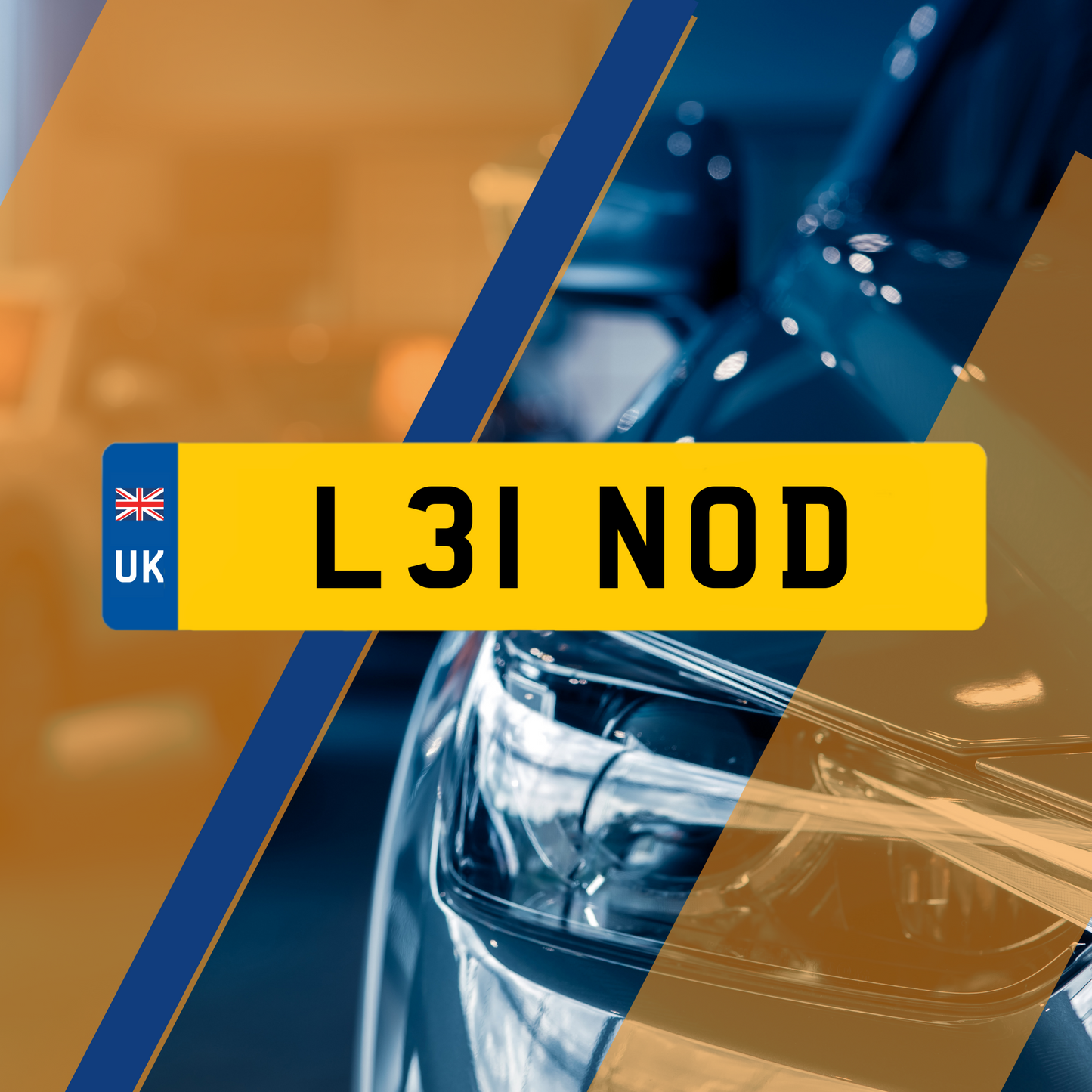 L31 NOD