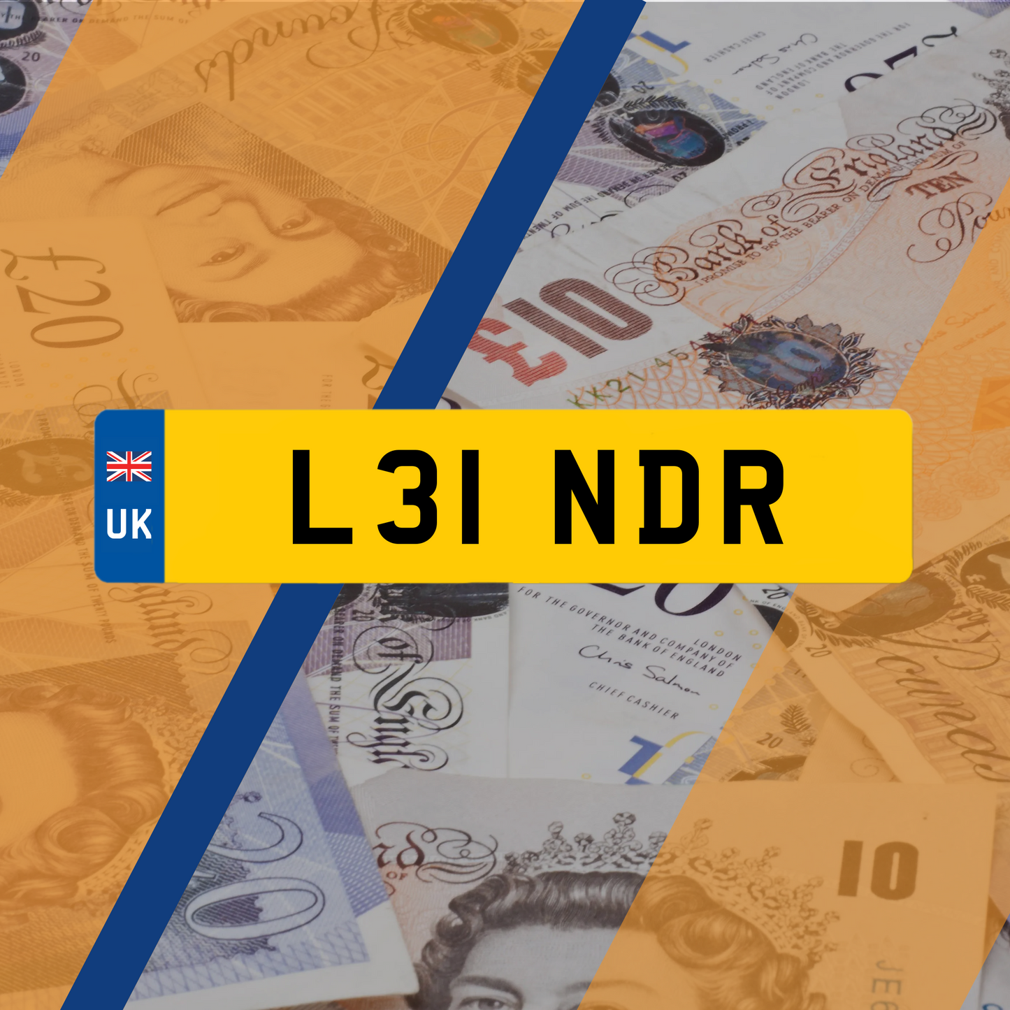 L31 NDR