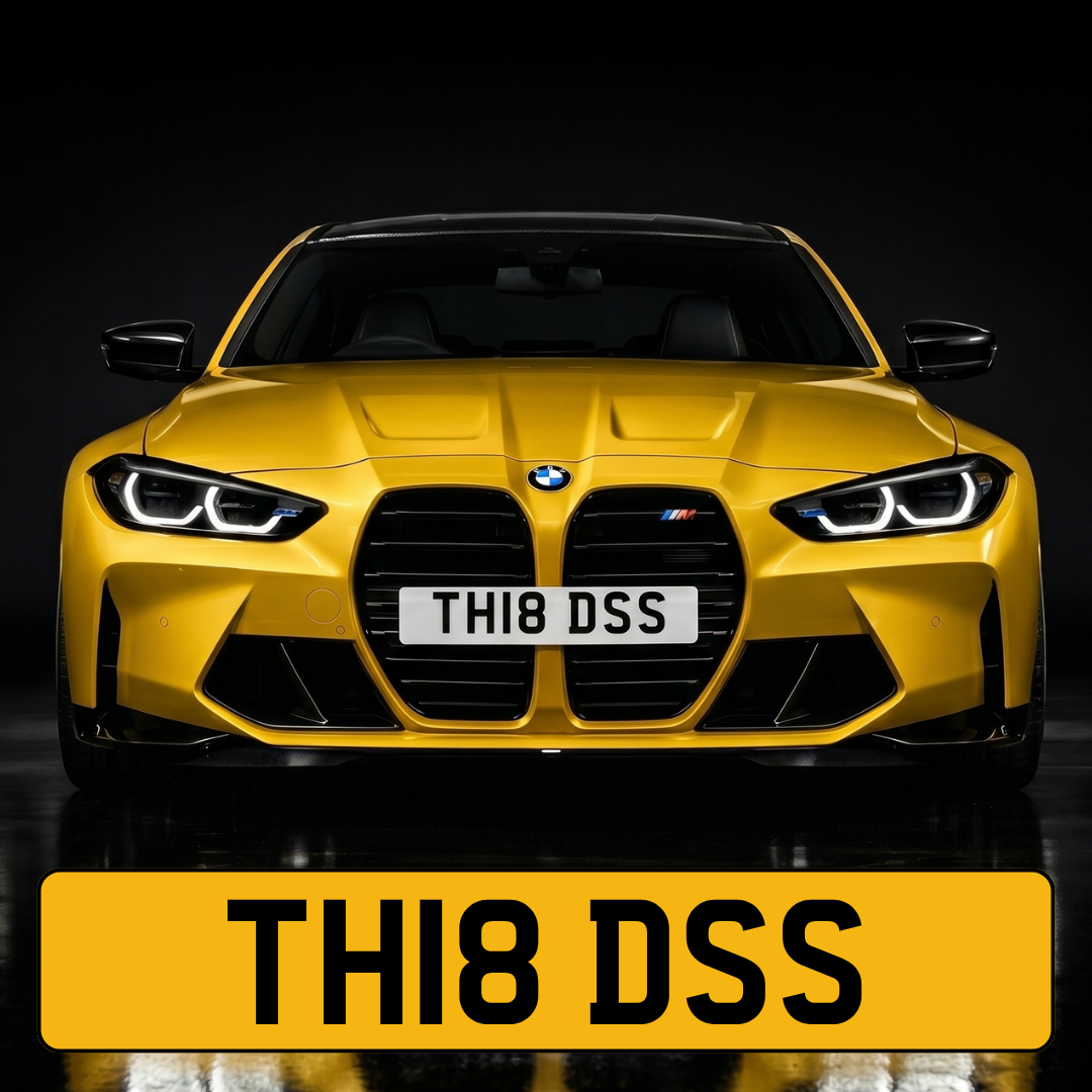 TH18 DSS