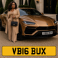 VB16 BUX