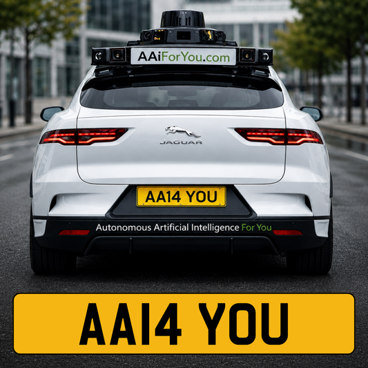 AA14 YOU